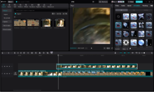 CapCut Video Editing Tips